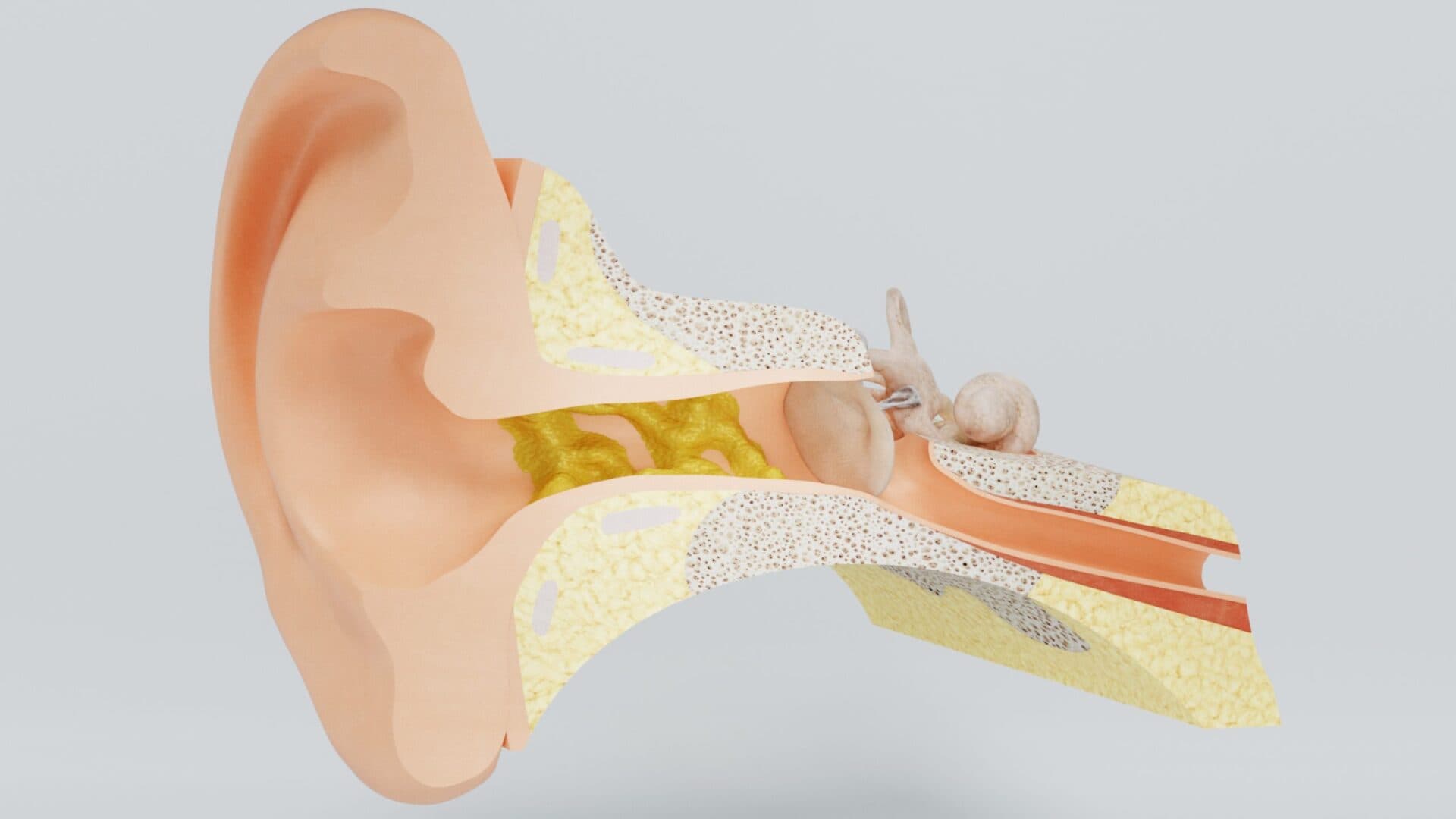 Five Things You Should Know About Earwax